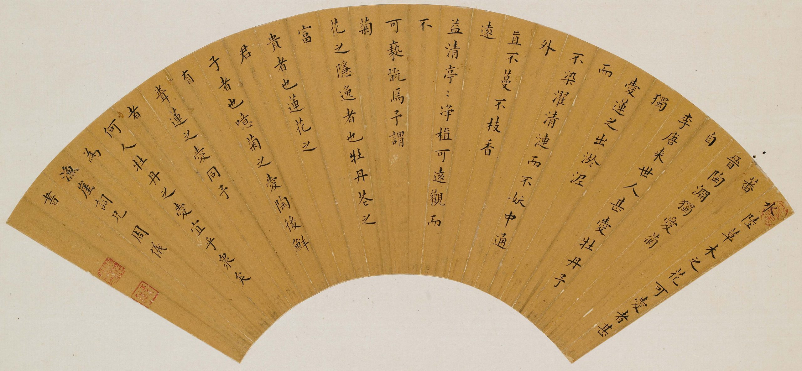 B05EF1zhou-yi-scaled.jpg